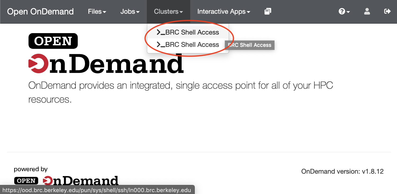 Screenshot: OOD Shell Access